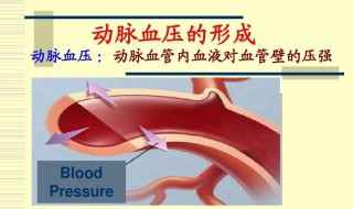 收缩压和舒张压是什么意思 收缩压和舒张压介绍