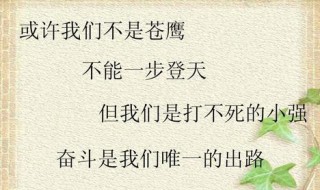 打不死的小强励志词句 打不倒的小强励志句子推荐