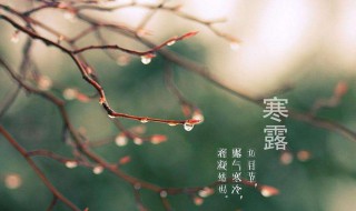 寒露节气短信 寒露节气短信介绍