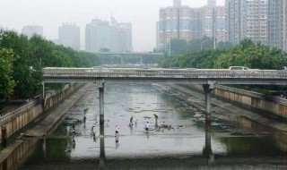 捞是什么意思 它意思的梗原来出自这个游戏