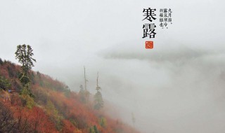 寒露节气特色 寒露节气特色介绍