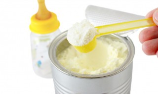 骆驼奶粉的营养价值 骆驼奶粉的营养价值介绍