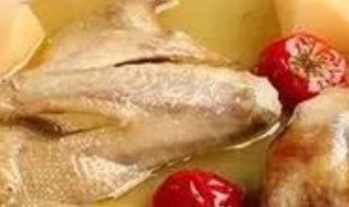 鸽子汤的制作方法 鸽子汤的做法与步骤