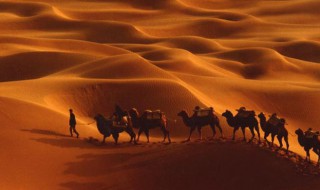 沙漠之舟的意思是什么 沙漠之舟解释