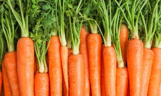 怎样储存红萝卜 如何保存胡萝卜