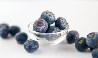 关于蓝莓的资料 水果蓝莓的介绍