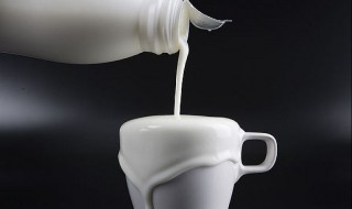 关于牛奶的资料 牛奶有什么营养