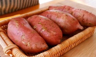 关于红薯的资料 介绍红薯