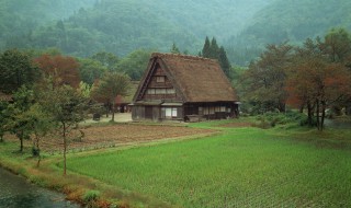 关于乡村田园的资料 关于乡村田园的内容资料