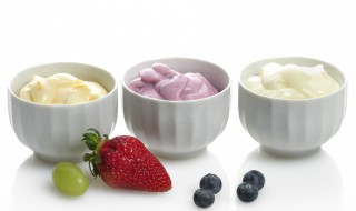 酸奶的制作方法步骤 如何做酸奶