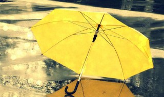 关于雨伞的唯美句子 描写雨伞的唯美句子
