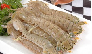皮皮虾怎么处理虾线 皮皮虾处理虾线方法介绍