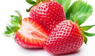 牛奶草莓和普通草莓区别 如何区别牛奶草莓和普通草莓
