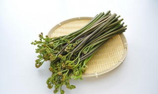 蕨菜制作方法 蕨菜的简单做法