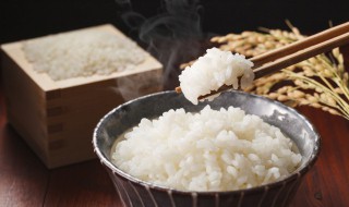 一个人干饭的米量 一个人吃米饭量杯放多少米？