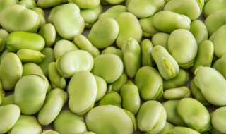 蚕豆与什么不能一起吃 蚕豆和哪些食物相克