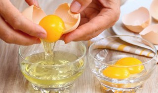 鸡蛋清热量 一个鸡蛋清的热量