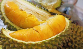 榴莲的营养价值与禁忌 热带水果的功效作用