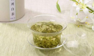老白茶的功效与禁忌 希望能帮助大家能更好更健康的品饮老白茶