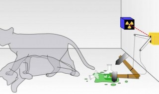 薛定谔的猫原理是什么 薛定谔的猫是什么意思