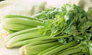 芹菜蒸菜怎么做 家庭健康美食做法