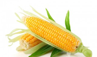 长期吃玉米有什么危害 大家可以了解一下