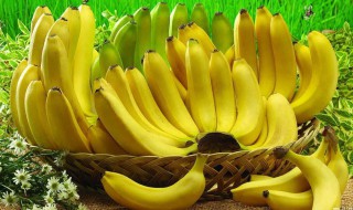 哪些病不能吃香蕉 五种病人不适合吃