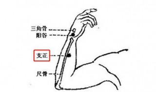支正穴简易找法 支正穴在哪里