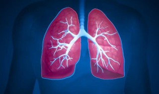 肺气虚会引起皮肤松弛吗 皮肤变化和肺部关系很大