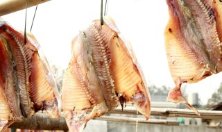 腊鱼腌制配方 腊鱼的腌制方法