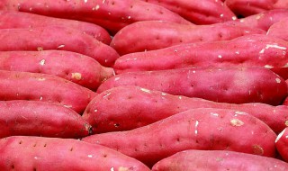 红薯和白薯哪个抗癌好 红薯和白薯哪个可以抗癌