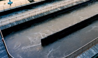 污水处理中什么是反硝化 有什么作用