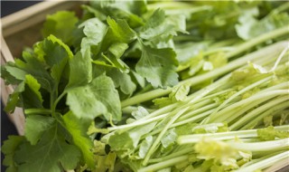 四斤芹菜的腌制小技巧 怎样腌制芹菜