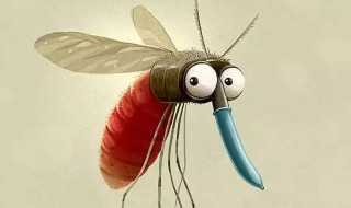 蚊子的习性 你知道吗