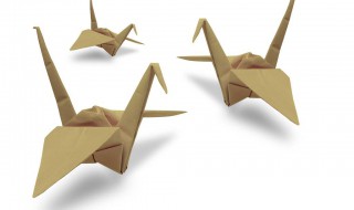 纸鸟折法 七步折出纸鸟