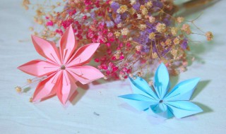 叠纸花教程 简单折纸立体樱花