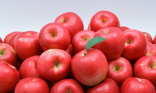 苹果的营养价值有哪些 苹果有哪些营养价值