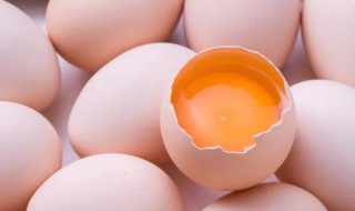 鸡蛋怎么保存 鸡蛋保存方法