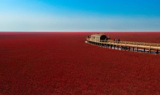 盘锦旅游景点大全排名 盘锦旅游景点大全排名列述