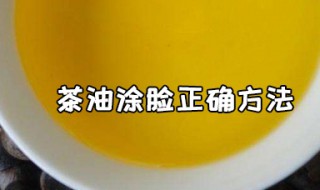 茶油涂脸正确方法 什么是茶油