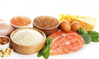 高蛋白食物排行一览表 这七类食物富含蛋白质