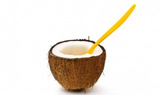 椰浆怎么冲开成椰汁 椰浆如何冲成椰汁
