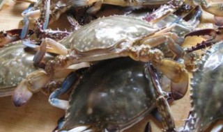 活的海螃蟹怎么保存 活的海螃蟹的保存方法