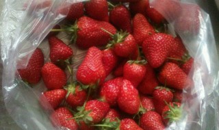 草莓怎么保存时间长 草莓怎么储存时间长久些