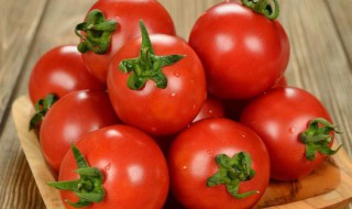 西红柿怎样储存 保存西红柿的方法有哪些