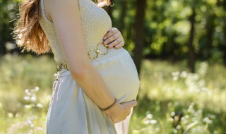 奇亚籽孕妇能吃吗 怀孕期间能不能吃奇亚籽