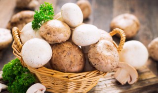 炸蘑菇做法 炸蘑菇的制作方法