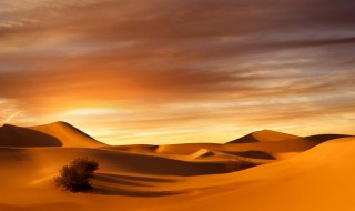 沙漠的意思 沙漠的特点