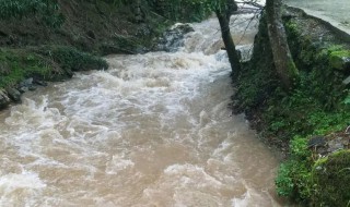 山洪降雨灾害的颜色等级由低到高 山洪降雨灾害的颜色等级由低到高的介绍