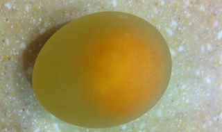 怎么泡鸡蛋 泡鸡蛋方法分享